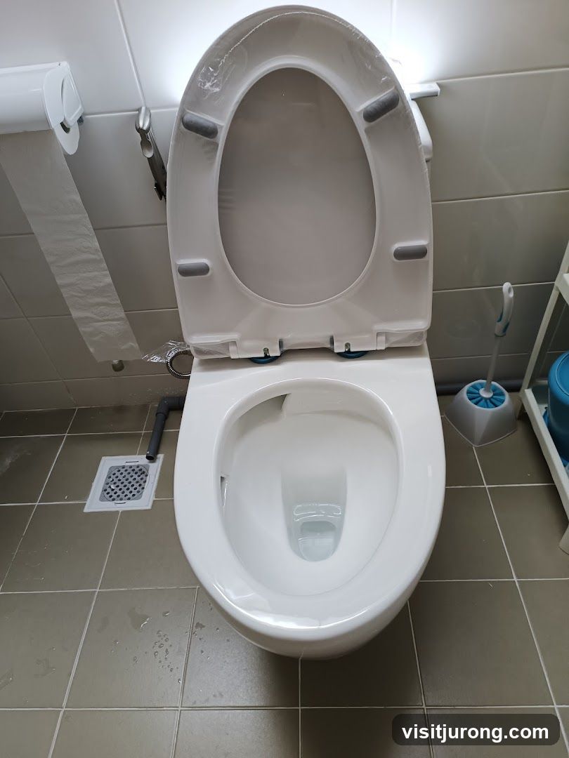 Toilet and Bathroom Accessories