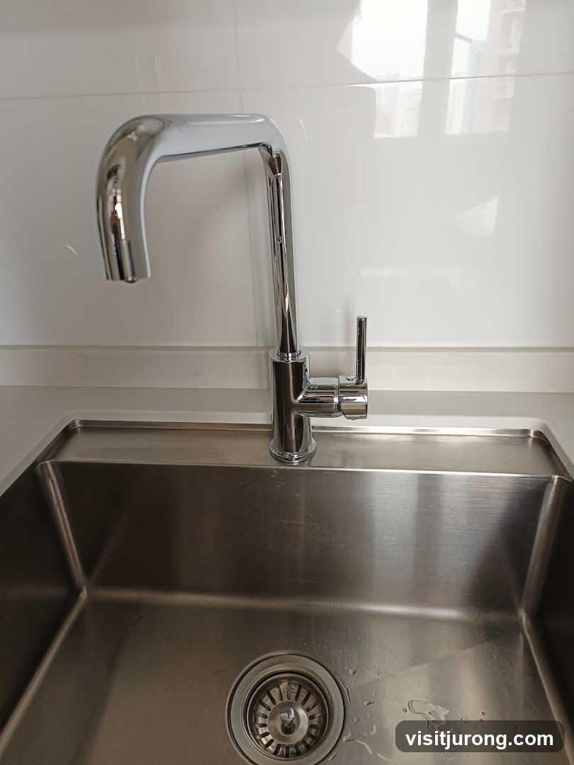 Modern Kitchen Faucet and Sink