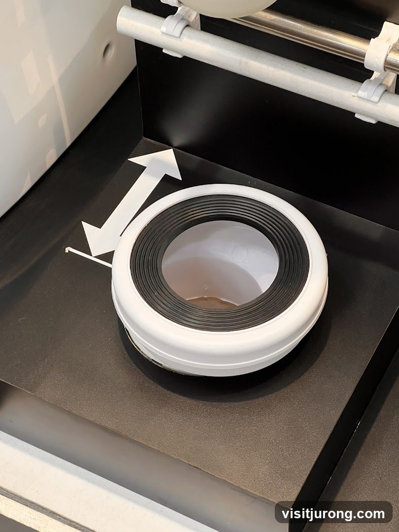 Toilet seal display