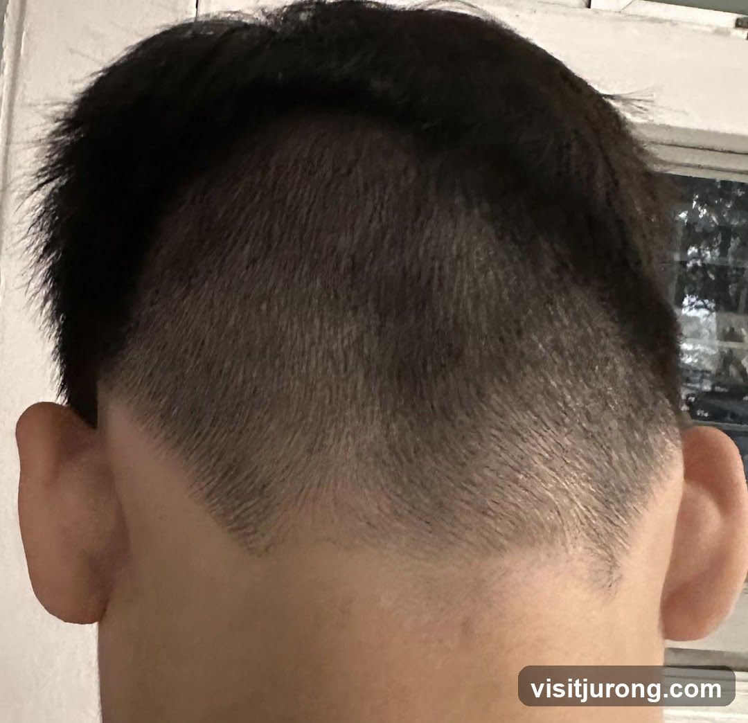 Man's Haircut