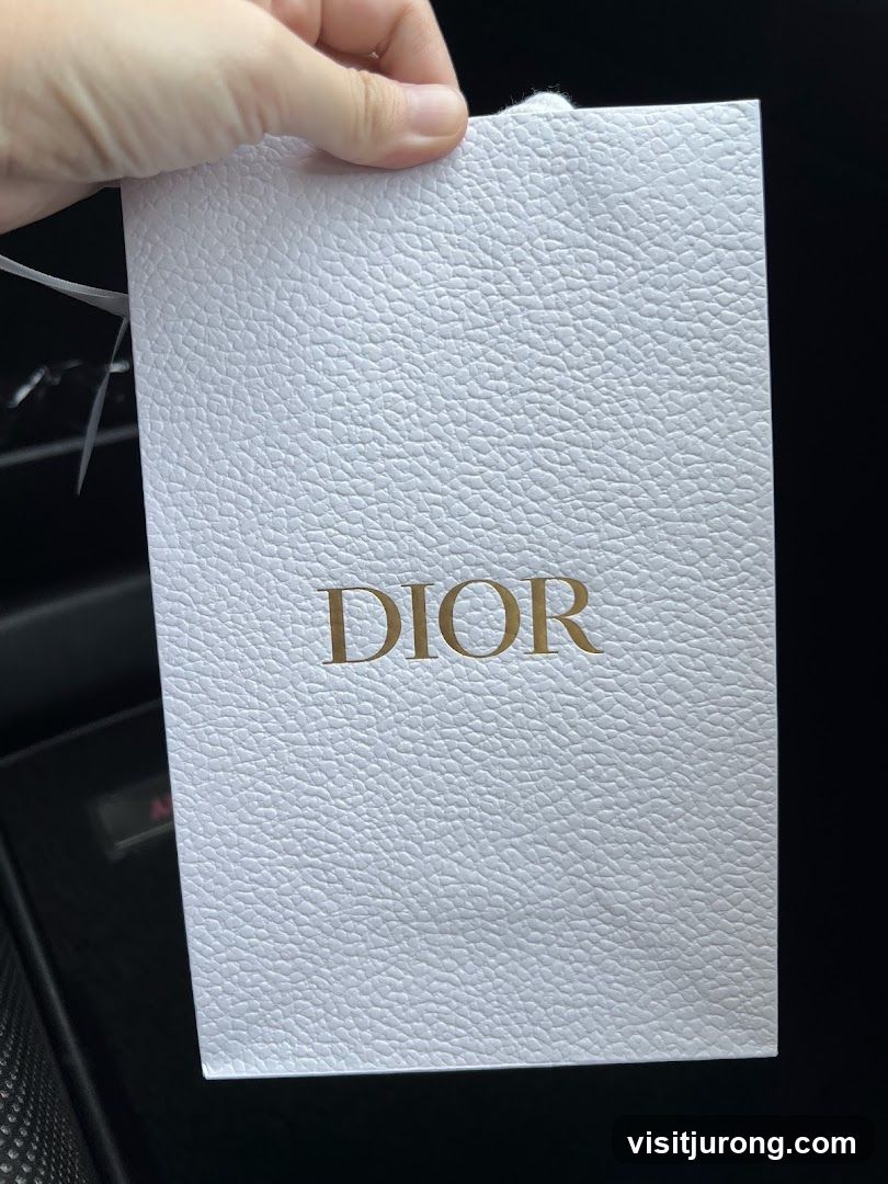 Dior Gift Bag