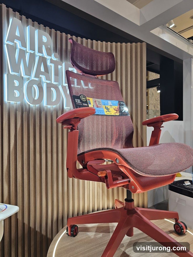 Ergonomic Chair Display