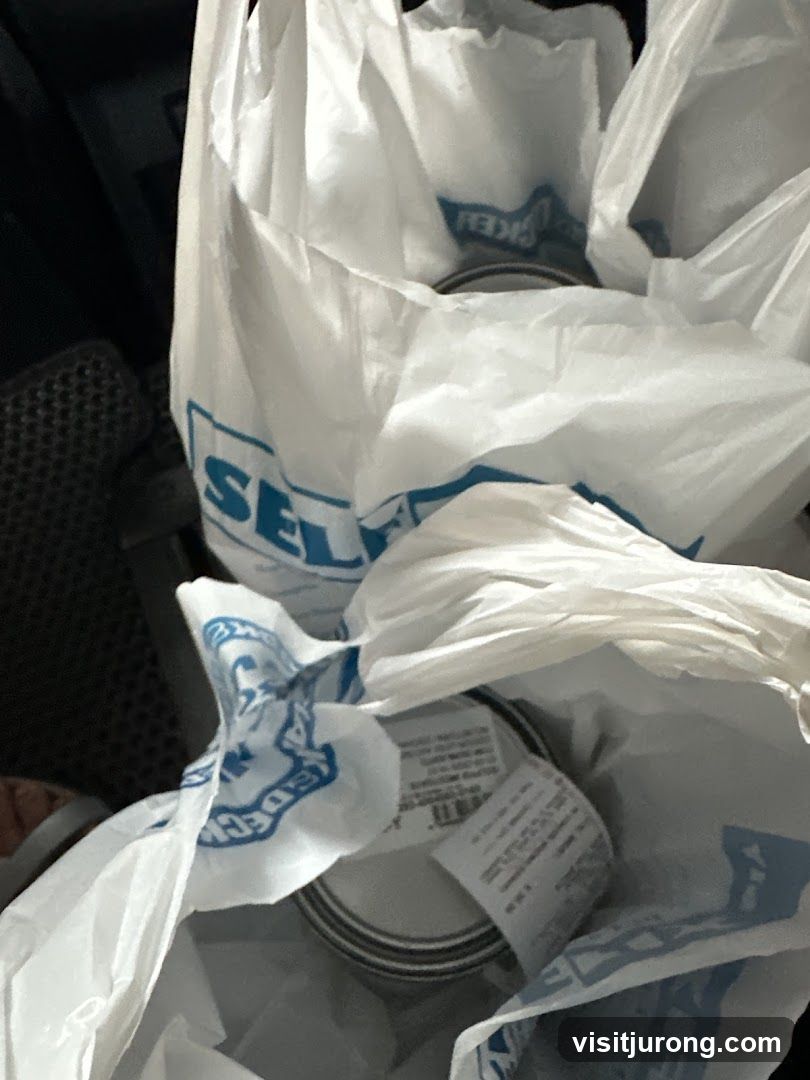 Shopping Bags with Items