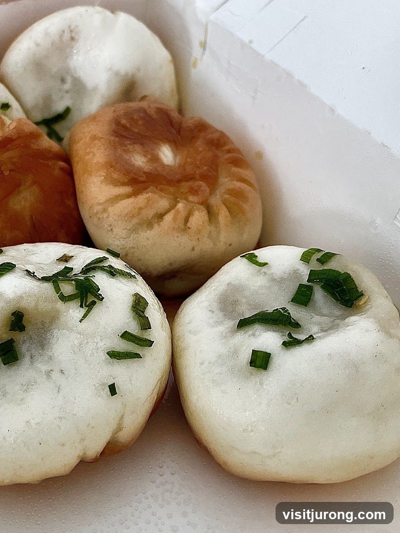 Pan-fried dumplings