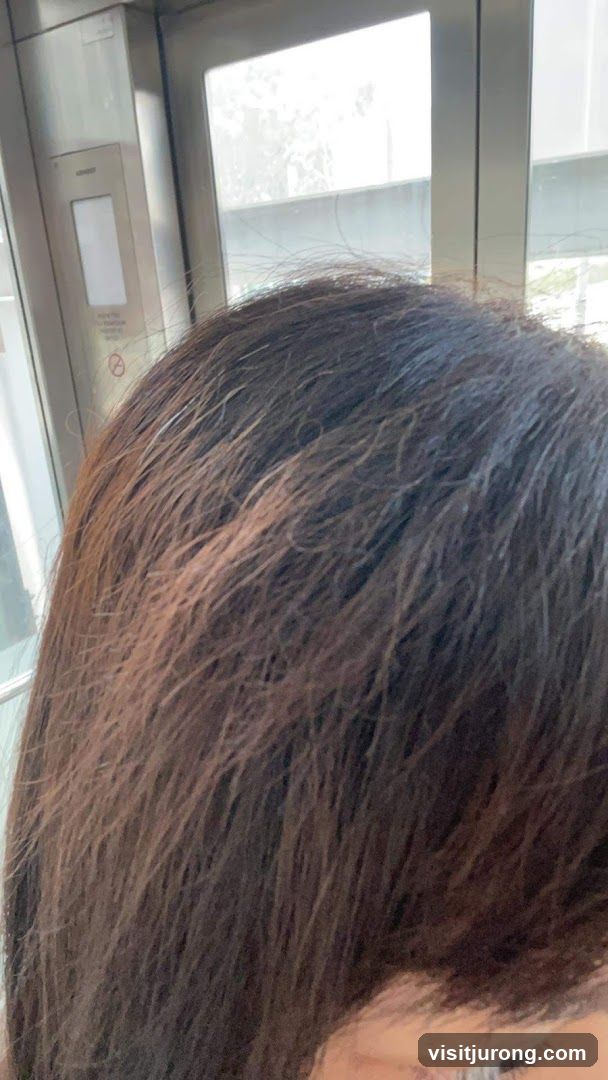 Woman's Hair and Elevator Panel