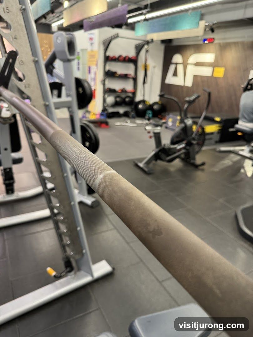 Gym Equipment