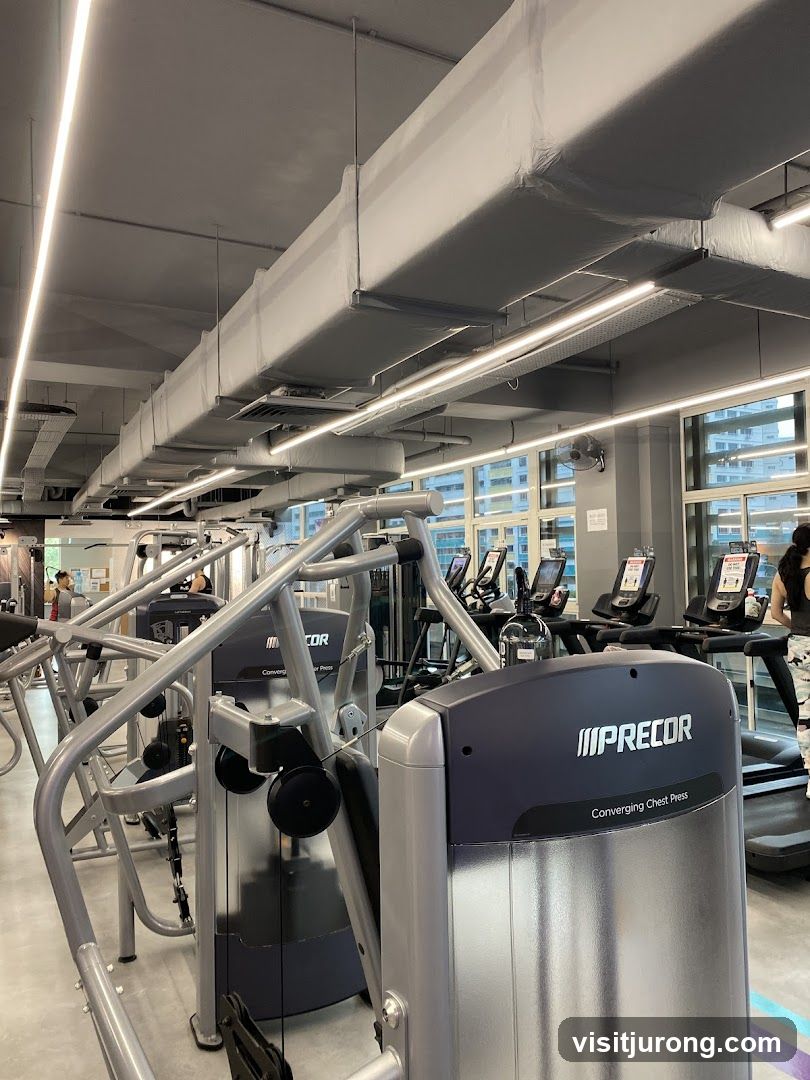Gym Interior with Exercise Machines