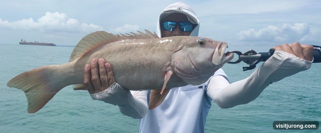 Regal Tackle