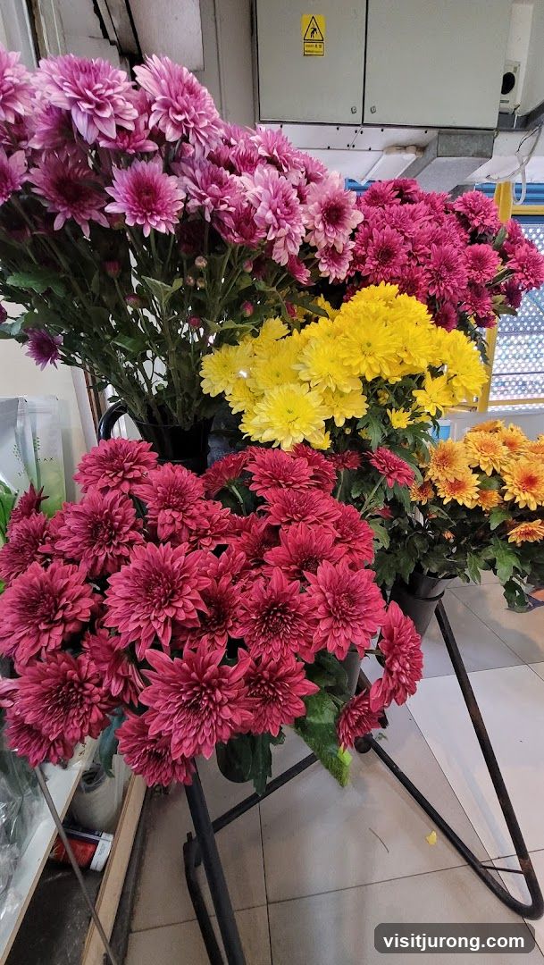 Assortment of Chrysanthemums