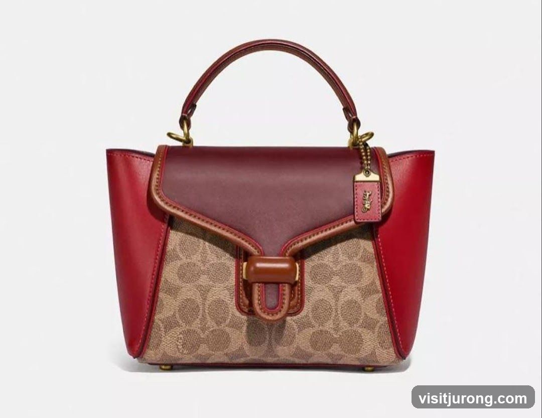 Coach Handbag