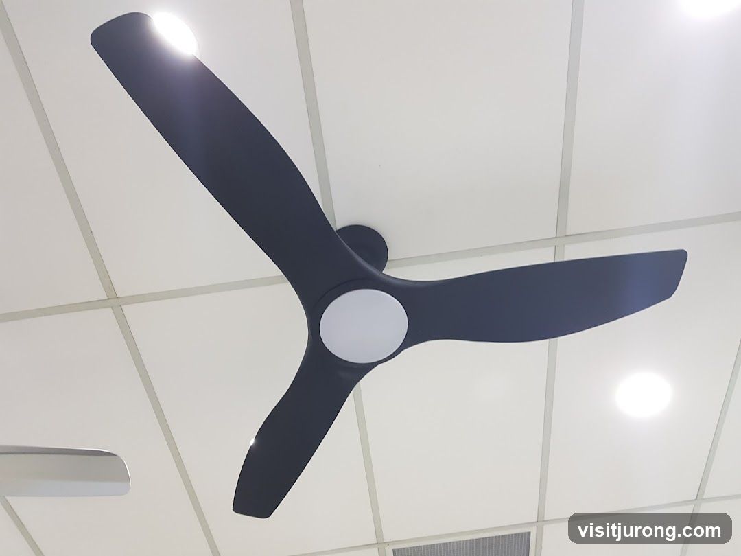 Modern Ceiling Fan