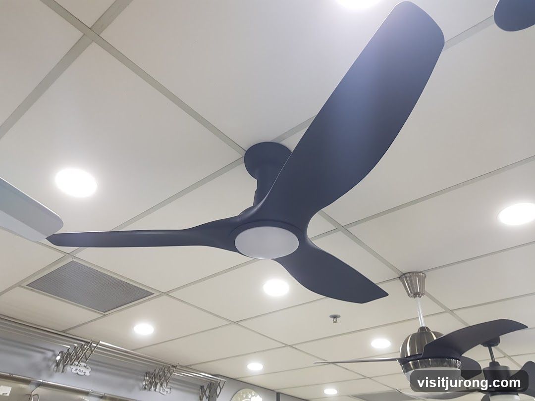 Ceiling Fans