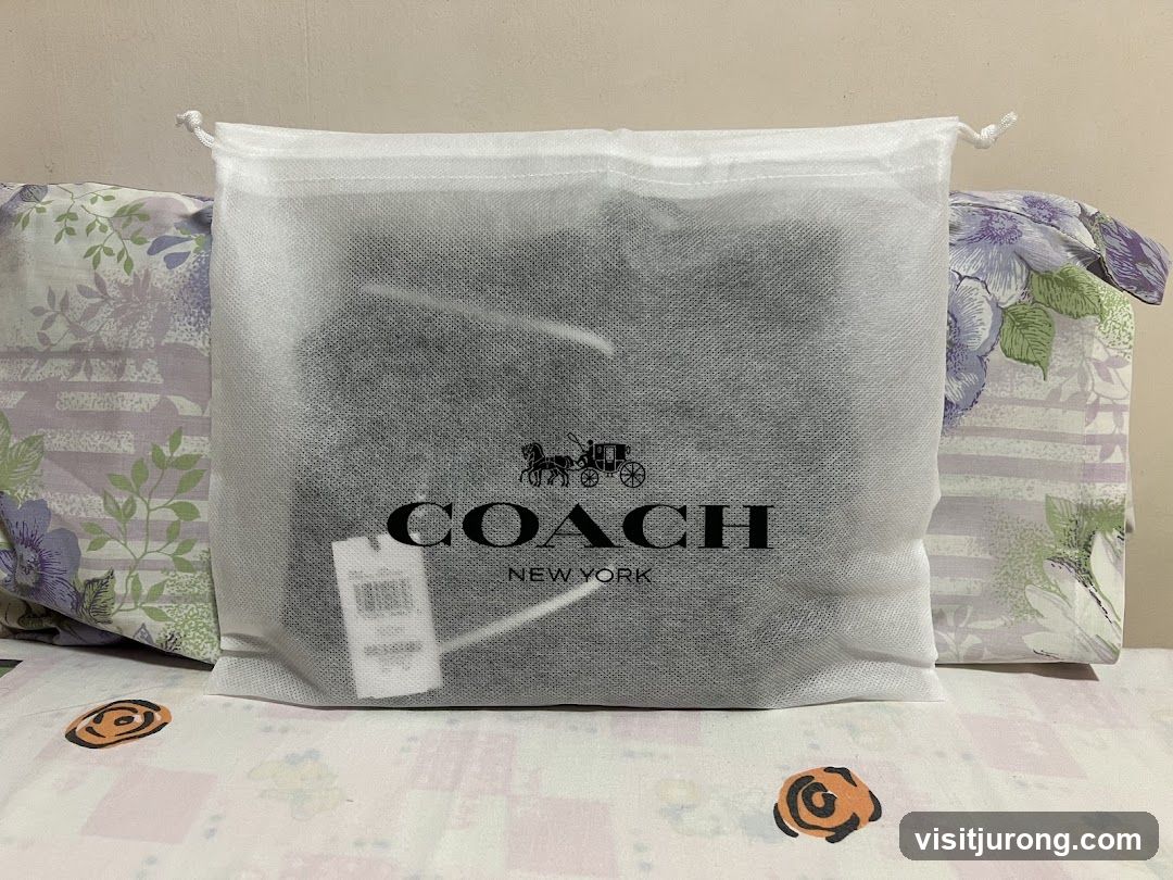 Coach Bag in Dust Bag