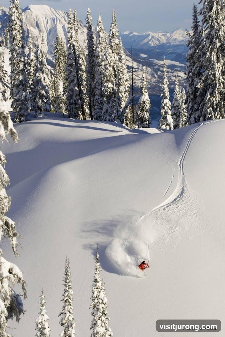 Skiing through fresh powder