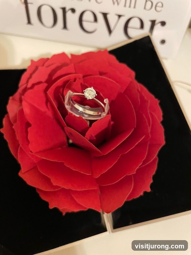 Diamond ring on a red rose