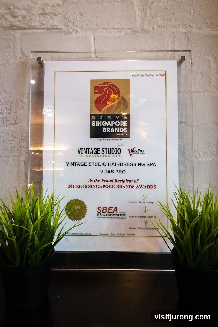 Singapore Brands Award Certificate