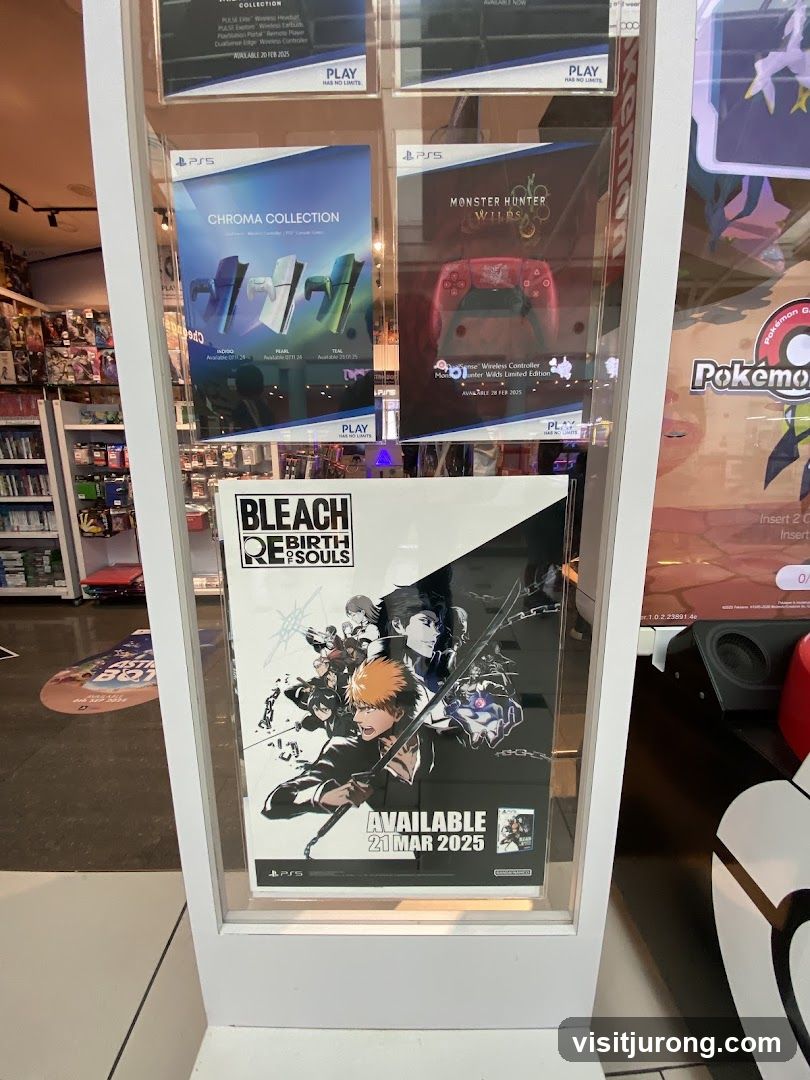 Video Game Store Display