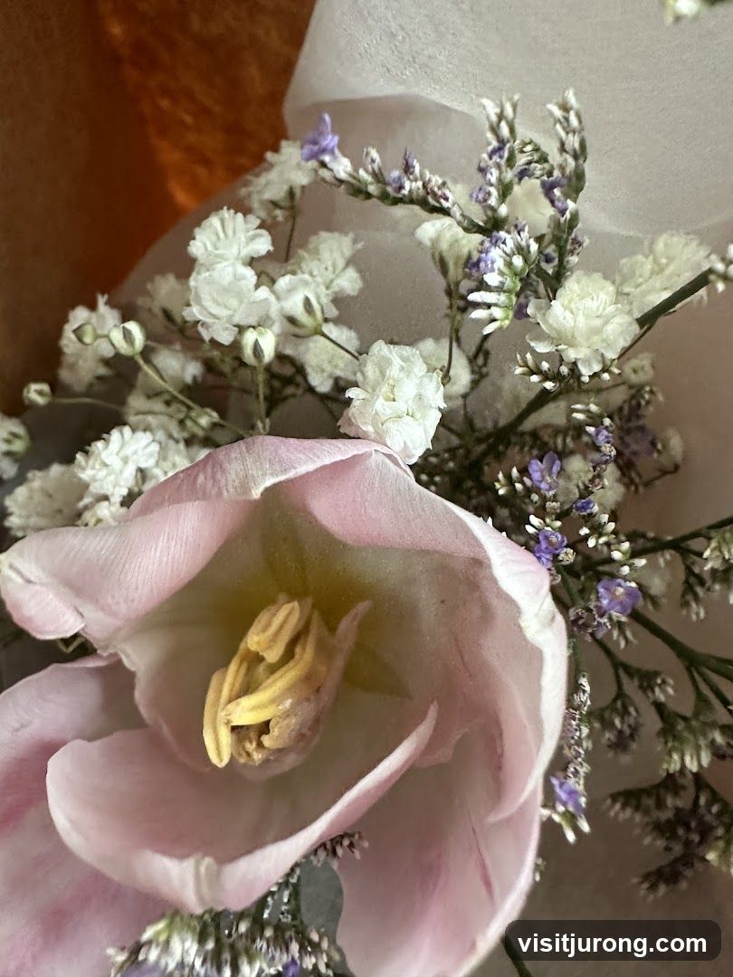 Pink Tulip and Baby's Breath Bouquet