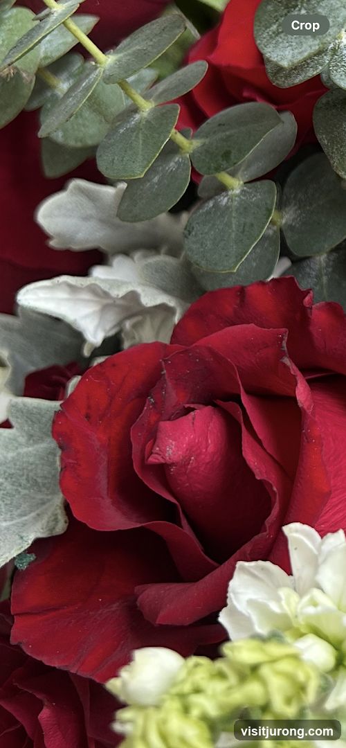 Red Rose and Eucalyptus Arrangement