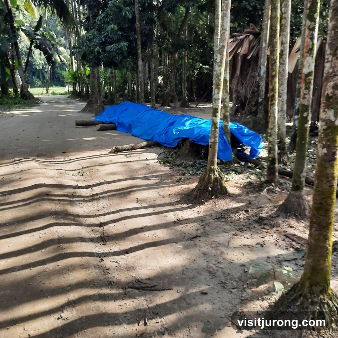 Blue tarp covering logs on a dirt path