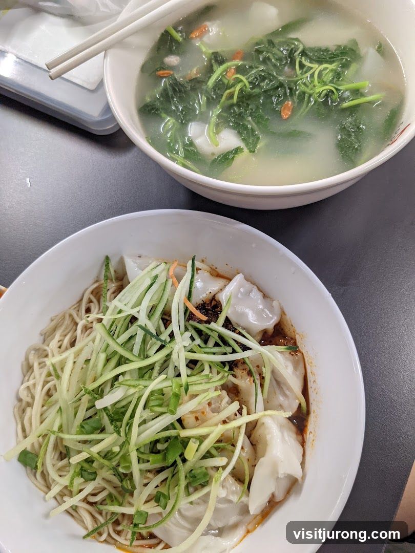 Wonton Noodles and Soup