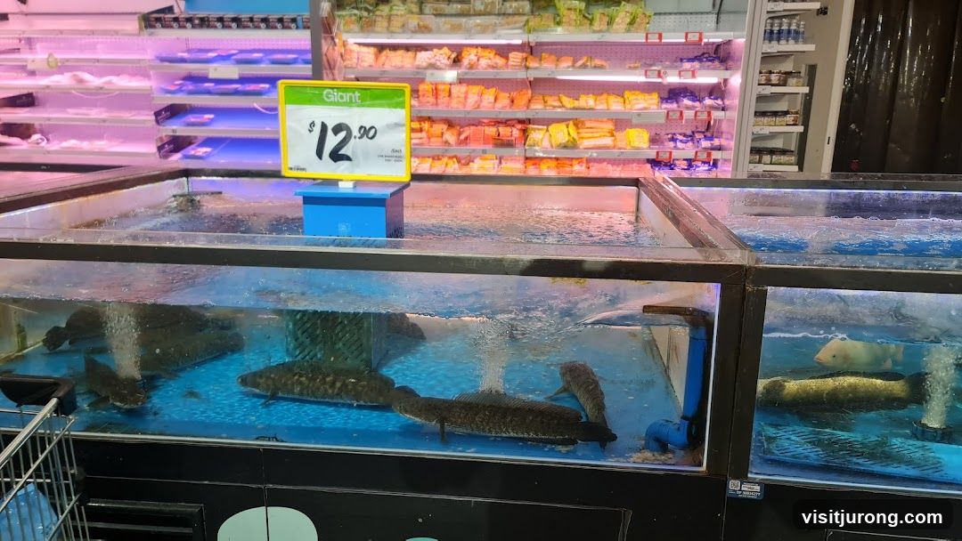 Live Seafood Display