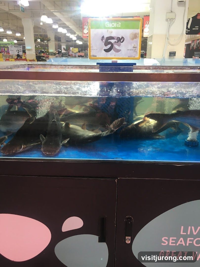 Live Fish Display