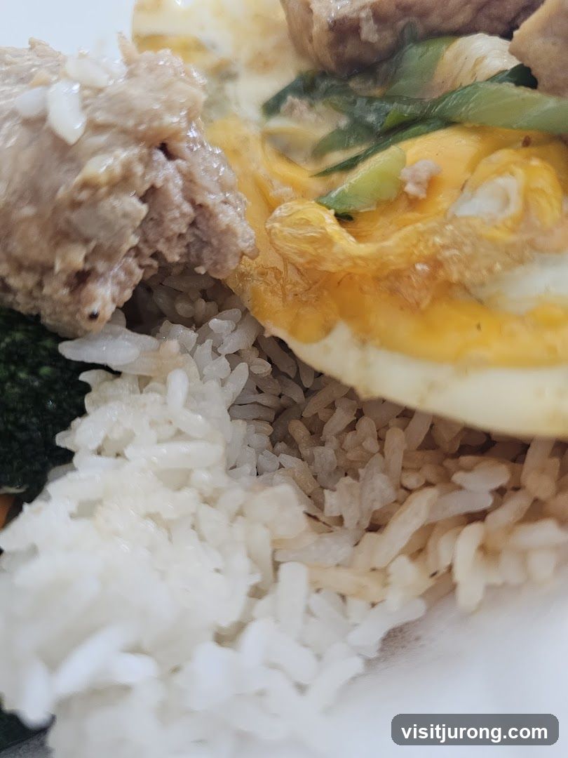 Rice with Meat and Egg