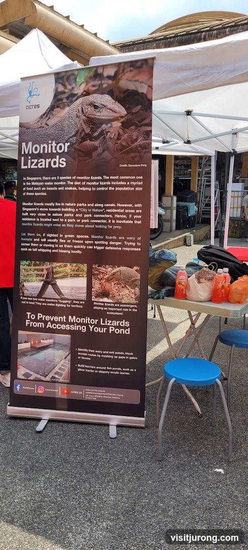 Monitor Lizards Information Banner