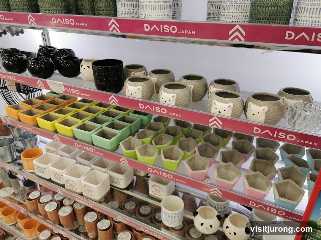 Assortment of Plant Pots