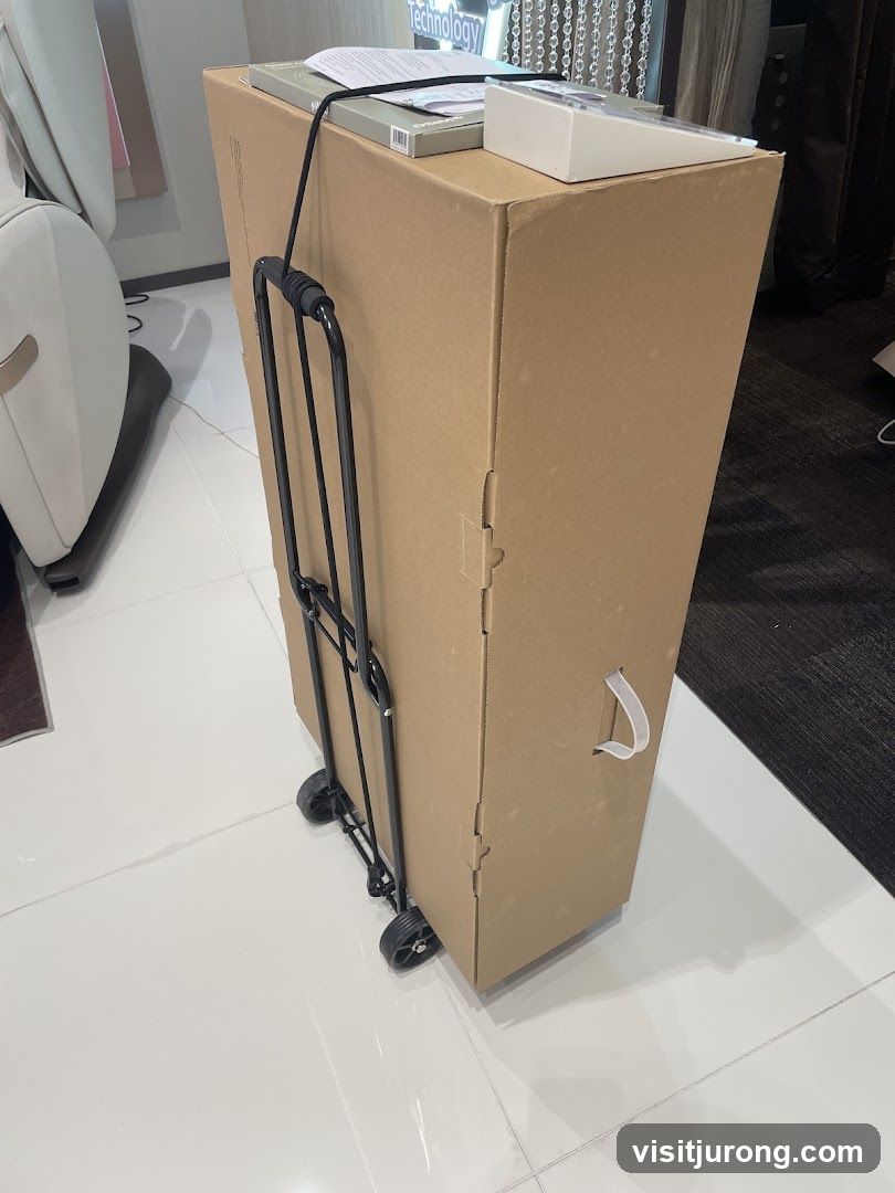 Cardboard box with dolly