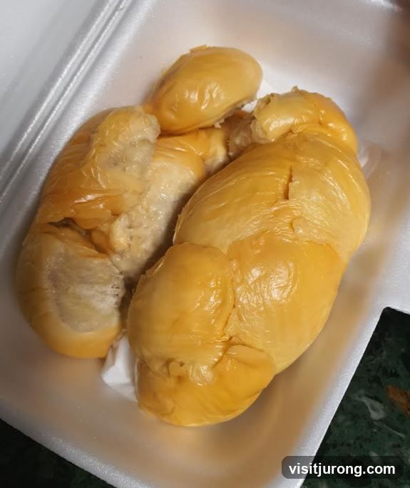 Singapore Durian Boy