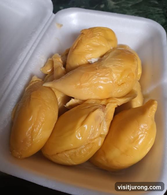 Durian Fruit