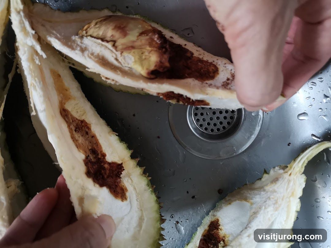 Durian Pulp and Seed