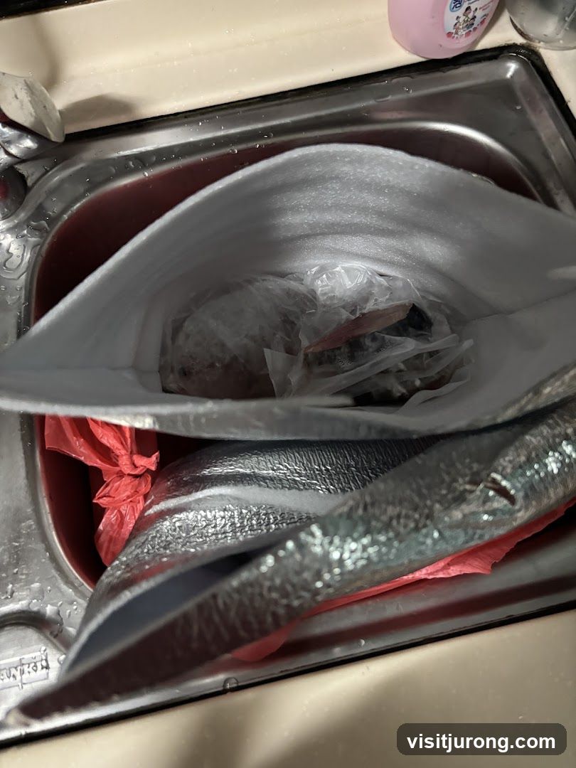 Fish in a Sink