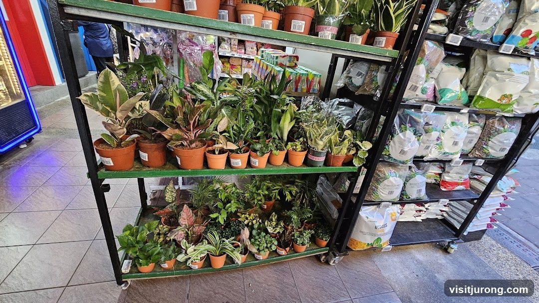 Indoor Plants and Gardening Supplies