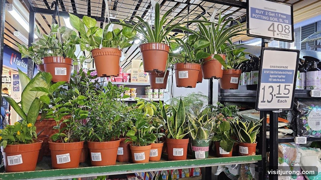Potted Plants and Gardening Supplies