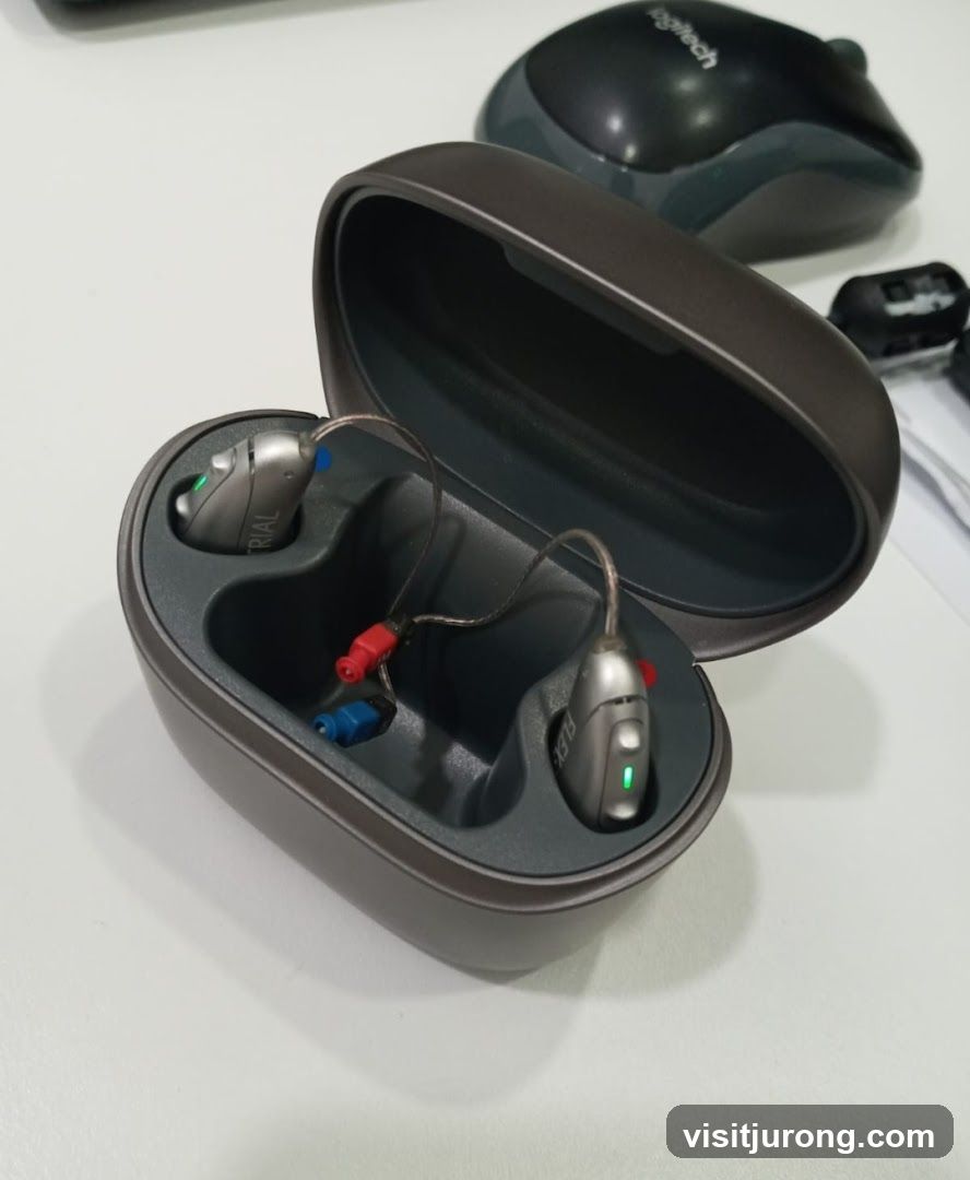 Hearing Aids in Charging Case