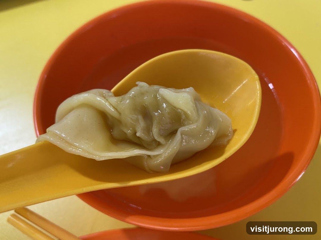 Wonton on Spoon