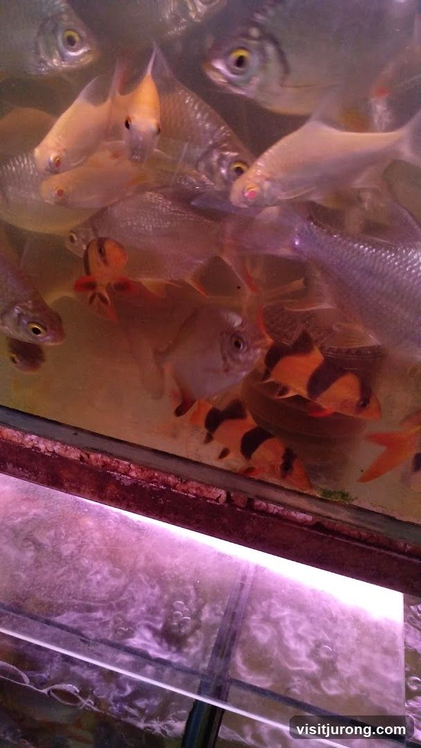 Tan Mok Ya Aquarium