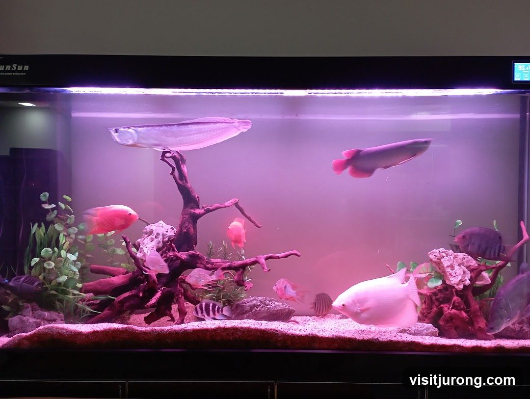 Tan Mok Ya Aquarium