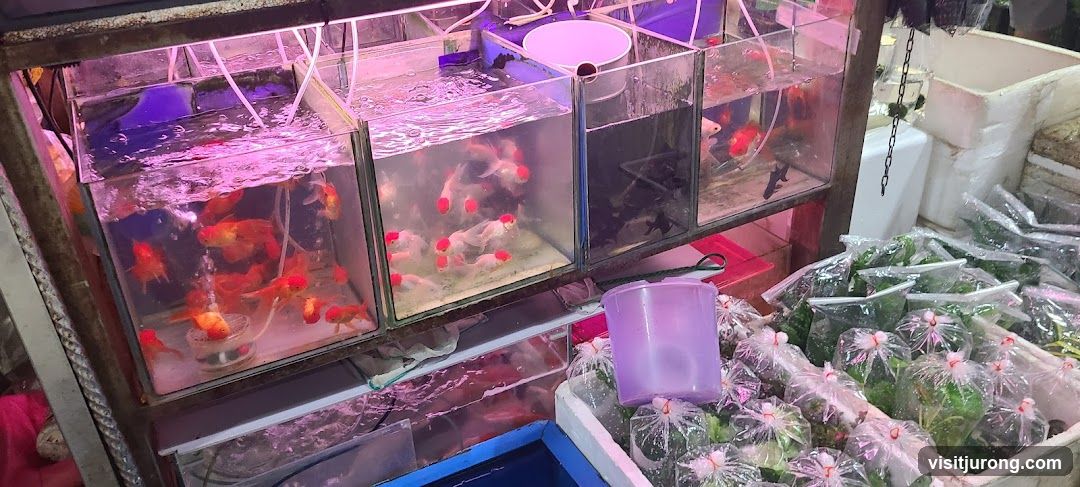 Fish Tanks and Packaged Plants