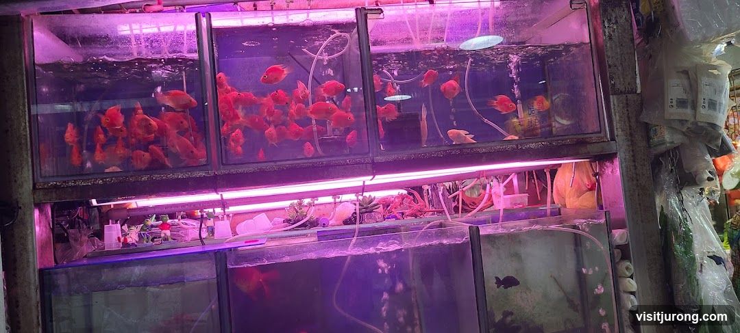 Fish Tanks
