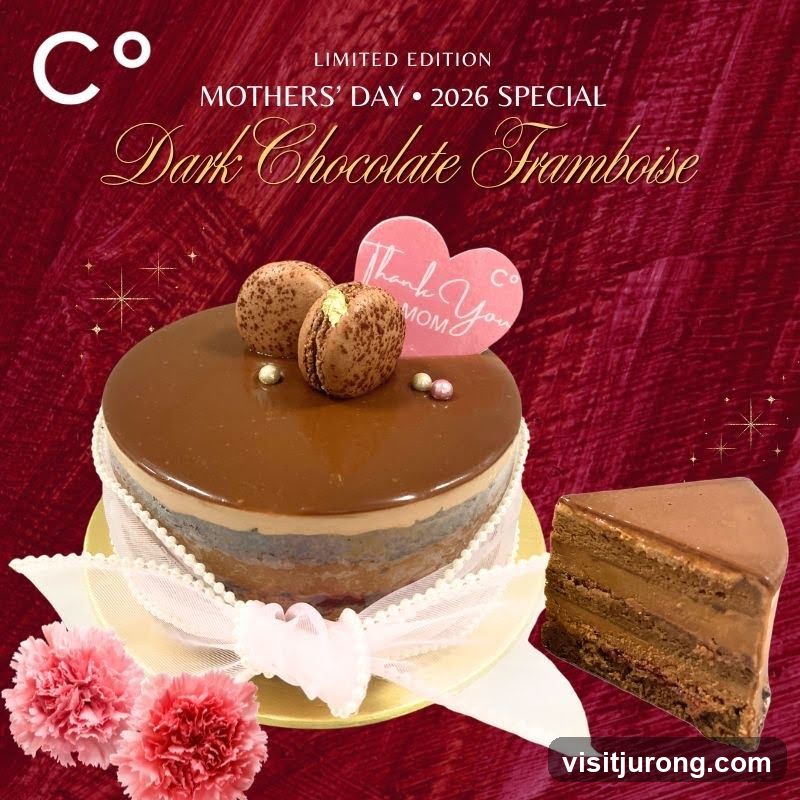 Mothers' Day Dark Chocolate Framboise Cake