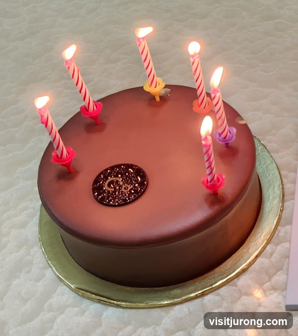 Chocolate cake with lit candles