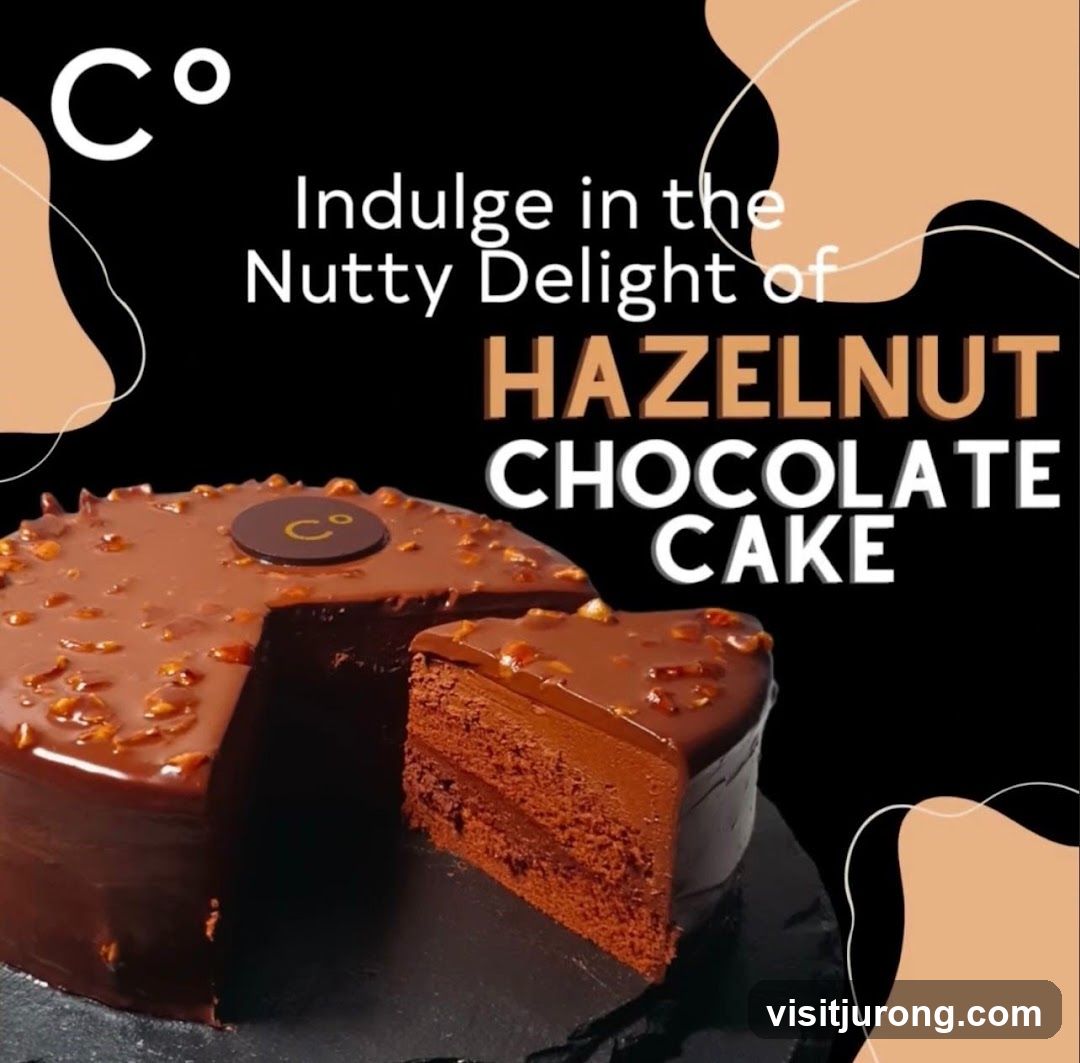 Hazelnut Chocolate Cake