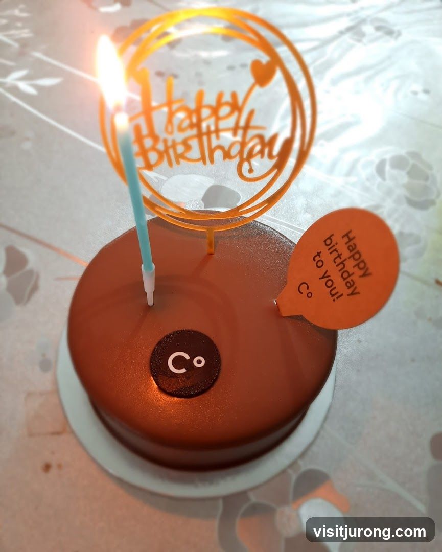 Chocolate Cake with Birthday Candle