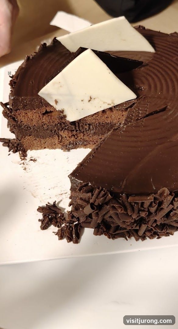 Chocolate Cake Slice
