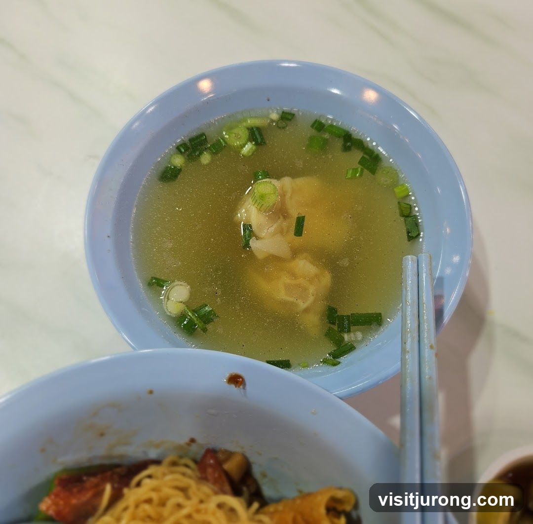 Wonton Soup and Noodles