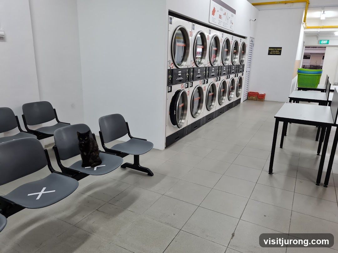 Wonder Wash